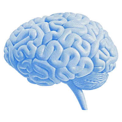 A brain illustration.